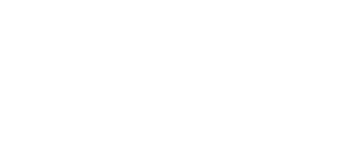 Logo CAME